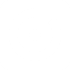 Vision Champion Program